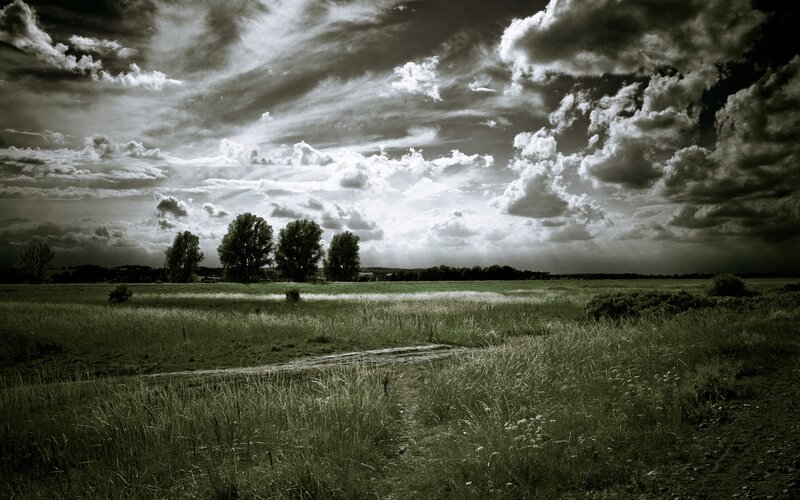 Grassy Field with Trees — Green, Dramatic, Afternoon, Photograph, Clouds