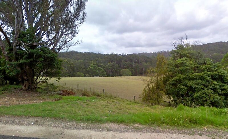 Grassy Field with Trees — Green, Overcast