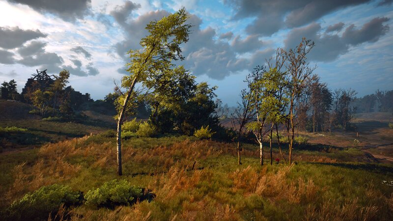 Grassy Field with Trees — Green, Serene, Afternoon, 3d Render