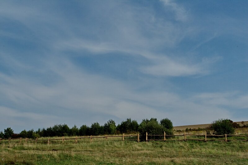 Grassy field with wooden fence