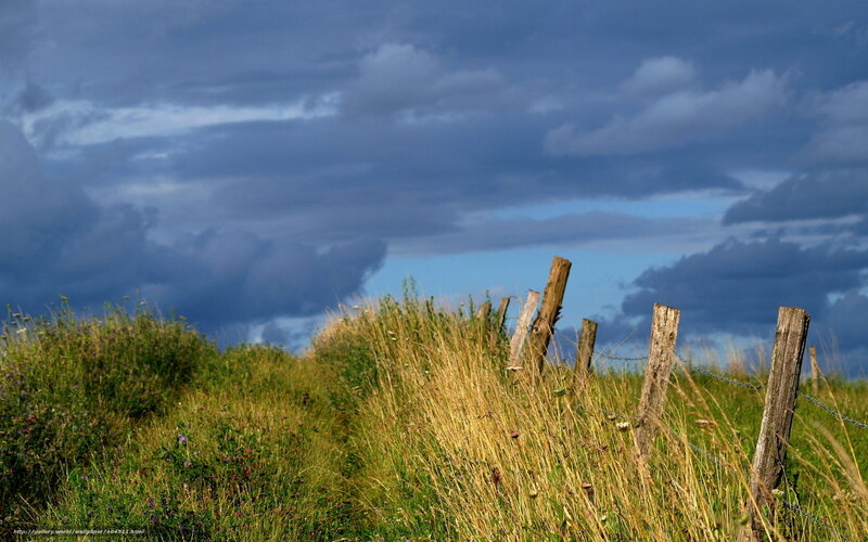 Grassy field with wooden fence