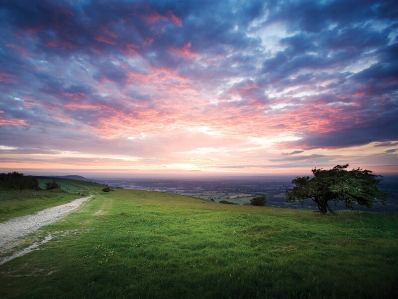 Grassy Hill at Sunset — Green, Serene, Photograph, Path
