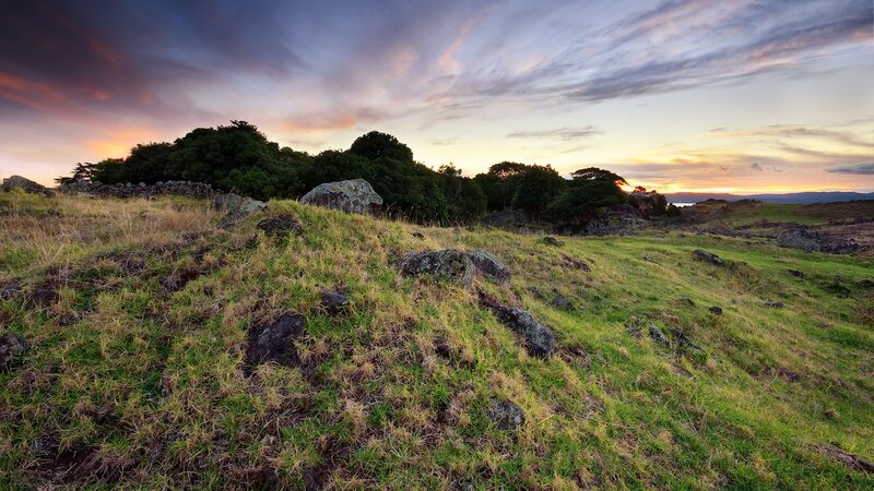 Grassy hill at sunset