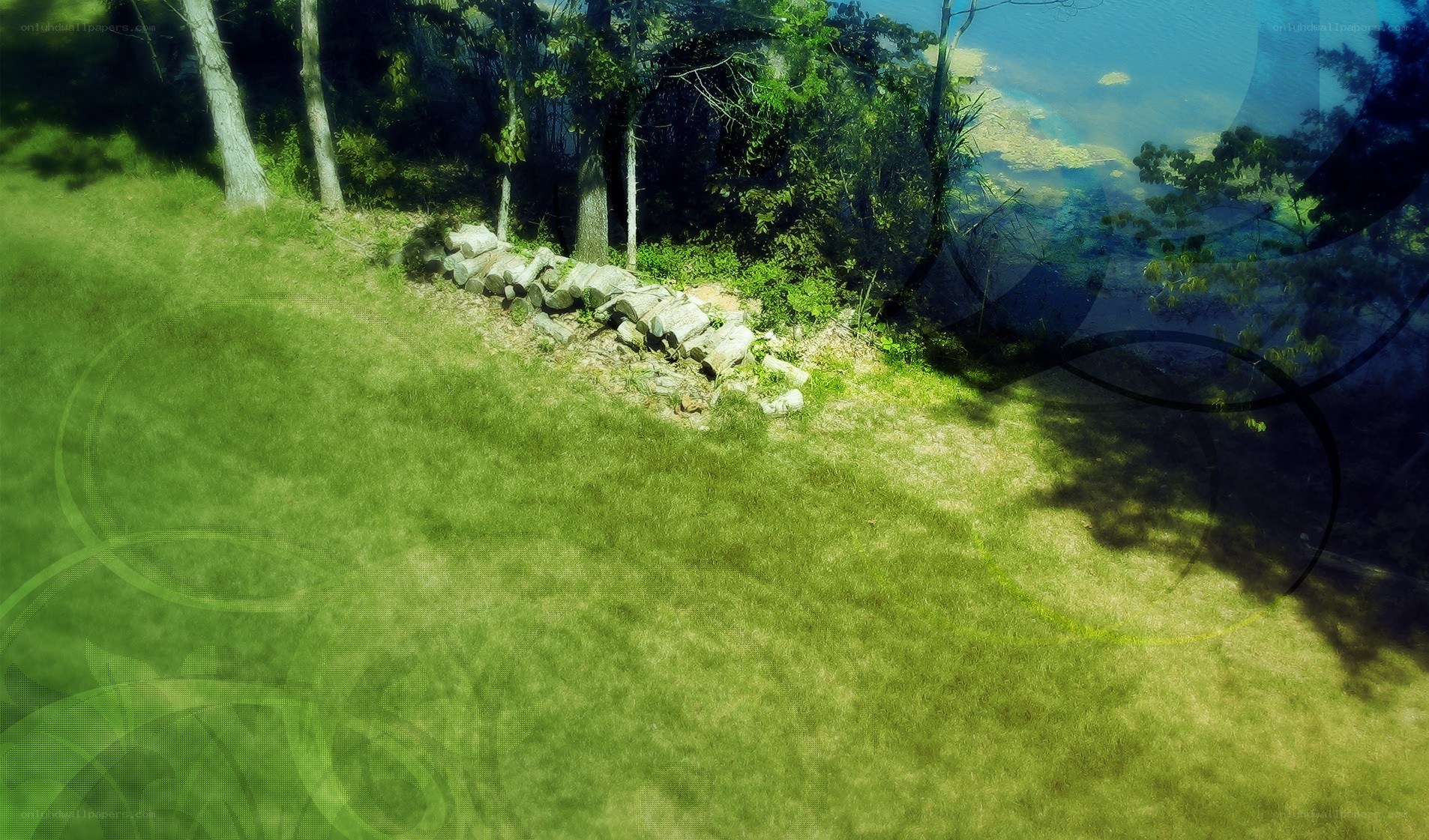 Grassy hill by the lake
