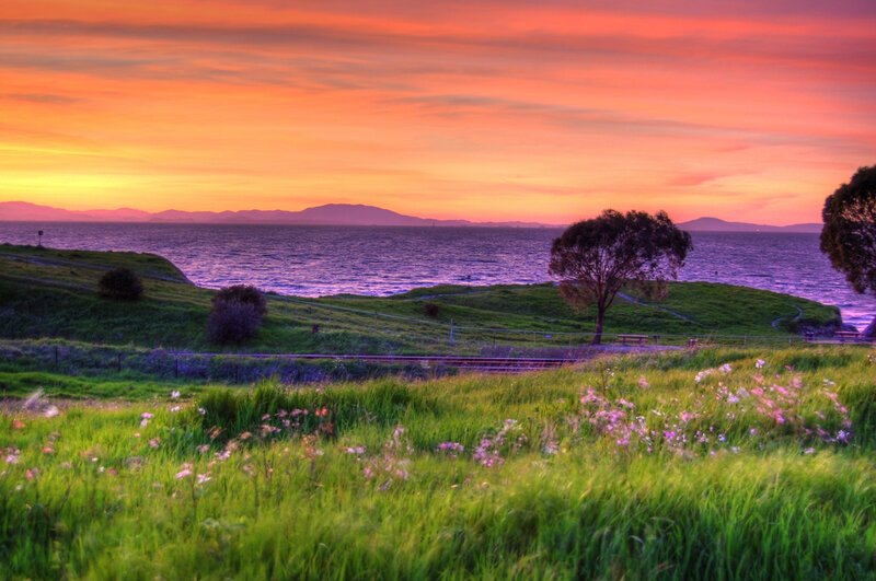 Grassy Hill by the Sea
