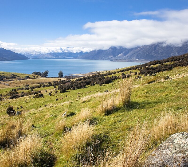 Grassy hill overlooking a lake