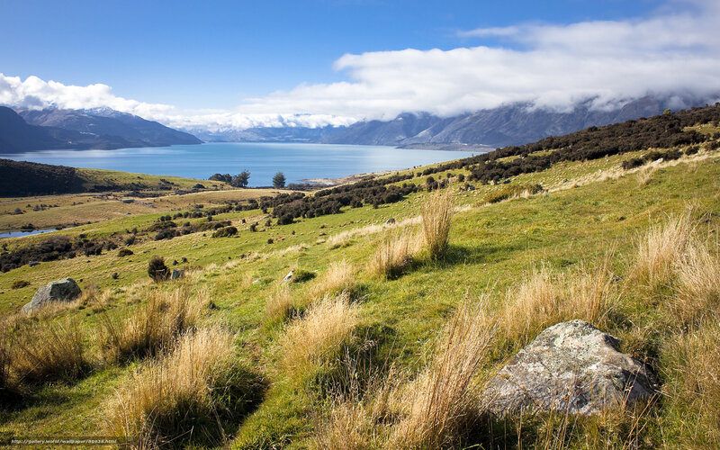 Grassy Hill Overlooking Lake — Green