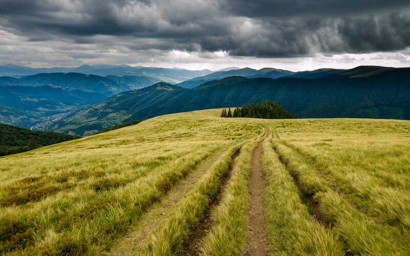 Grassy Hill Path — Green