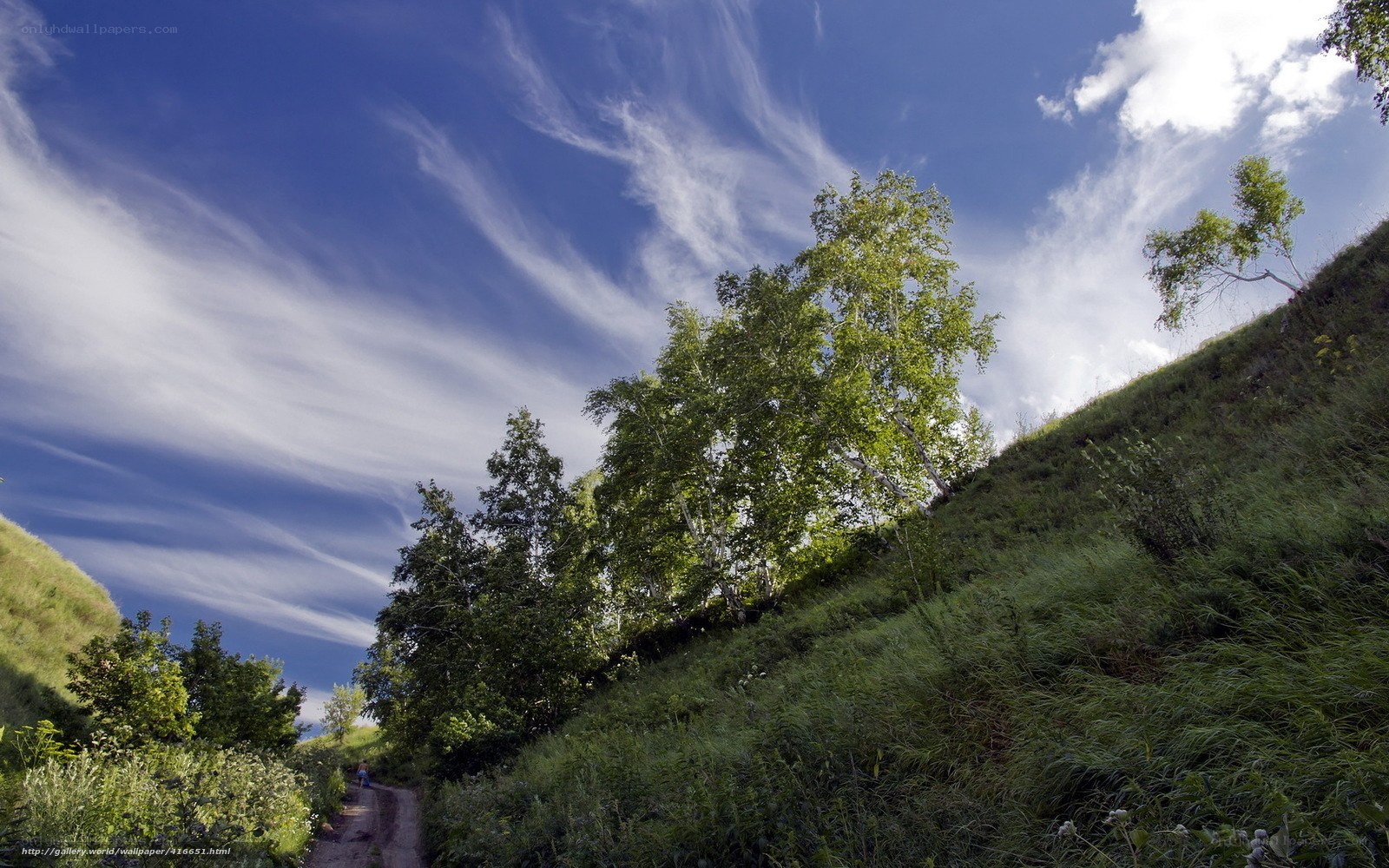 Grassy hill under blue sky