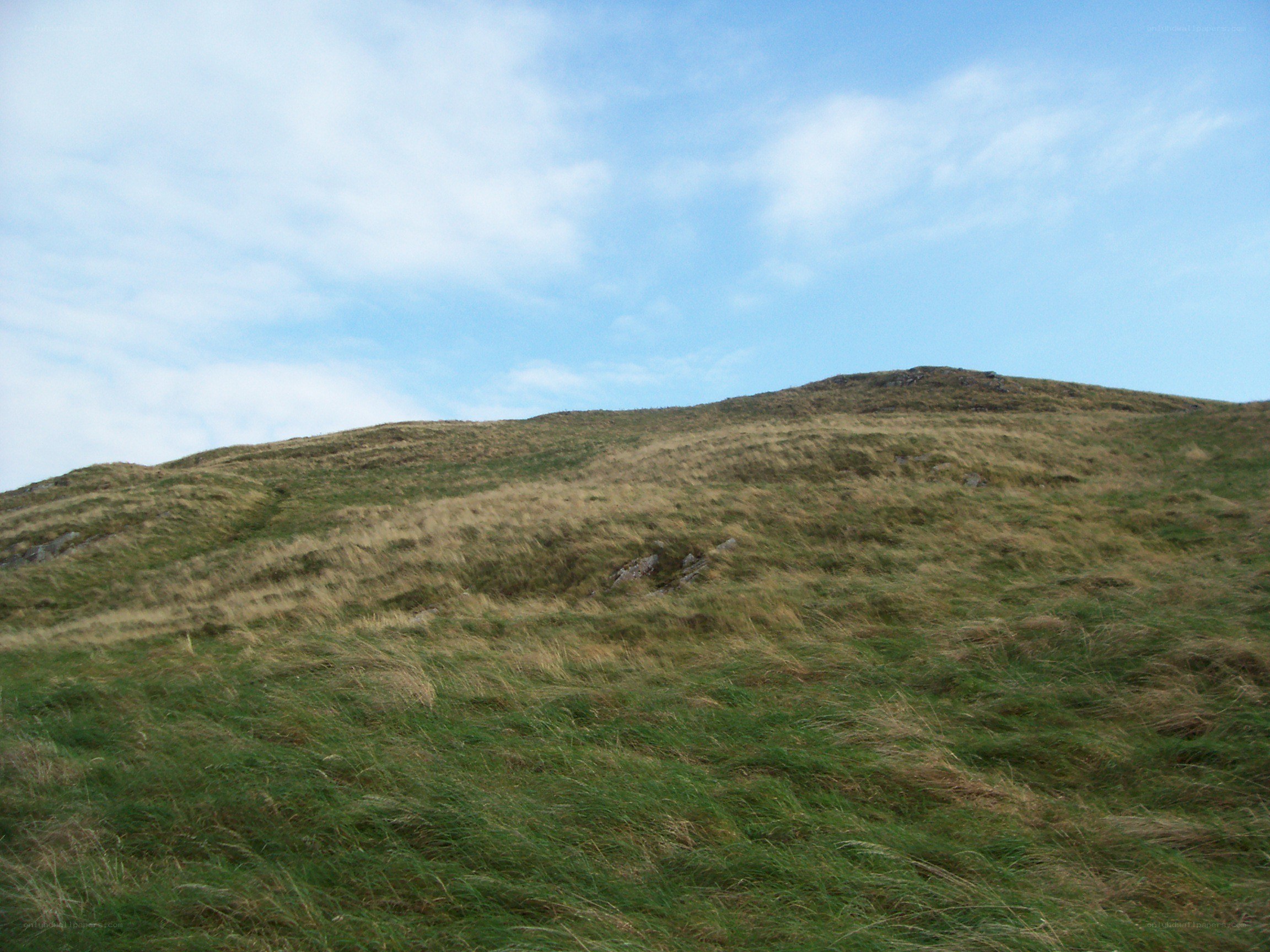 Grassy hill under blue sky