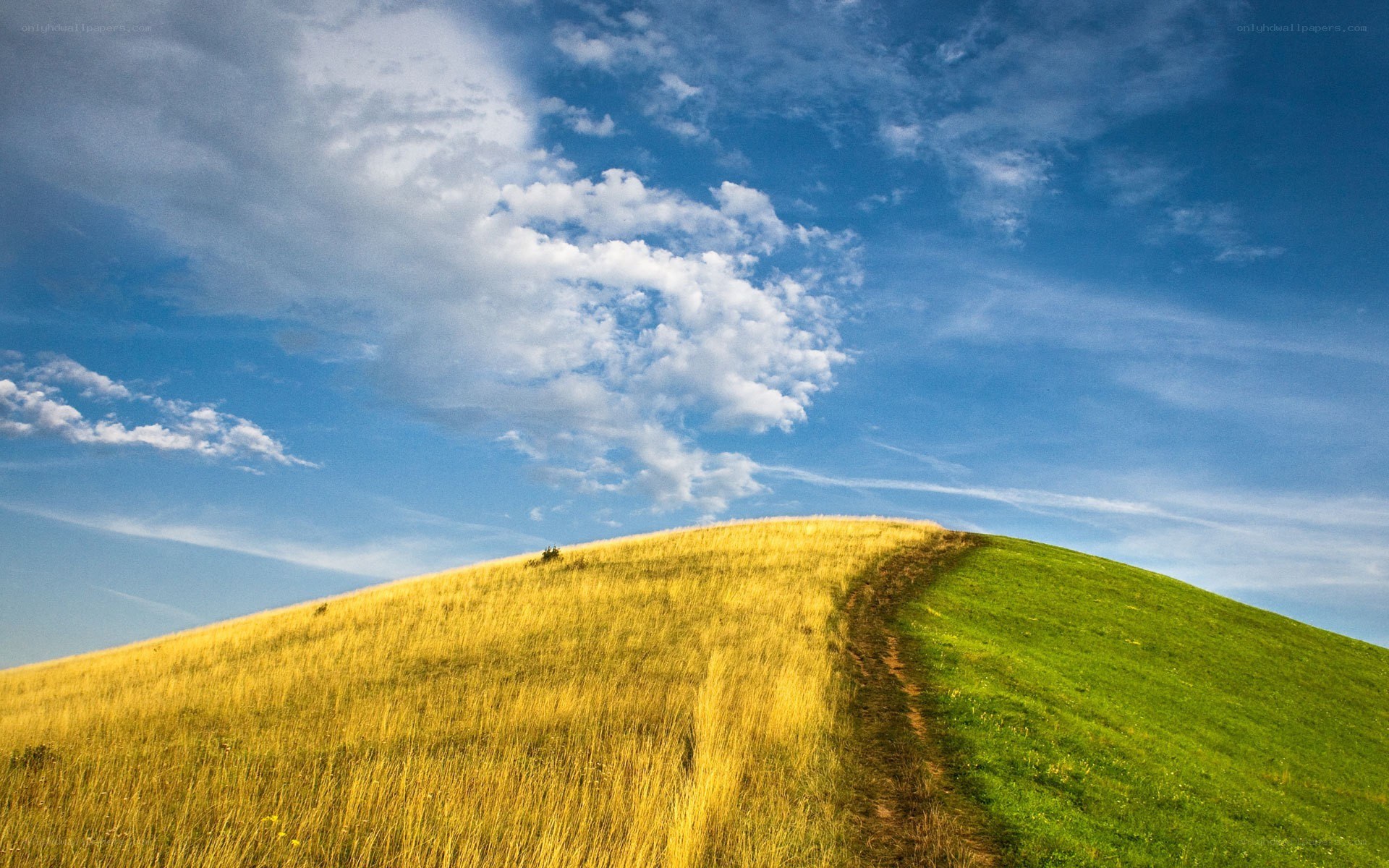 Grassy hill under blue sky