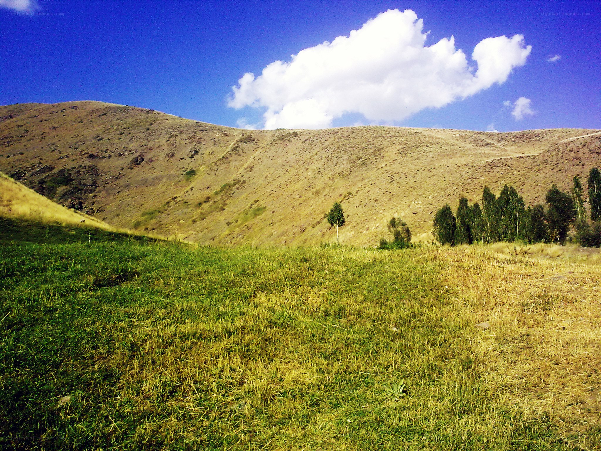 Grassy hill under blue sky