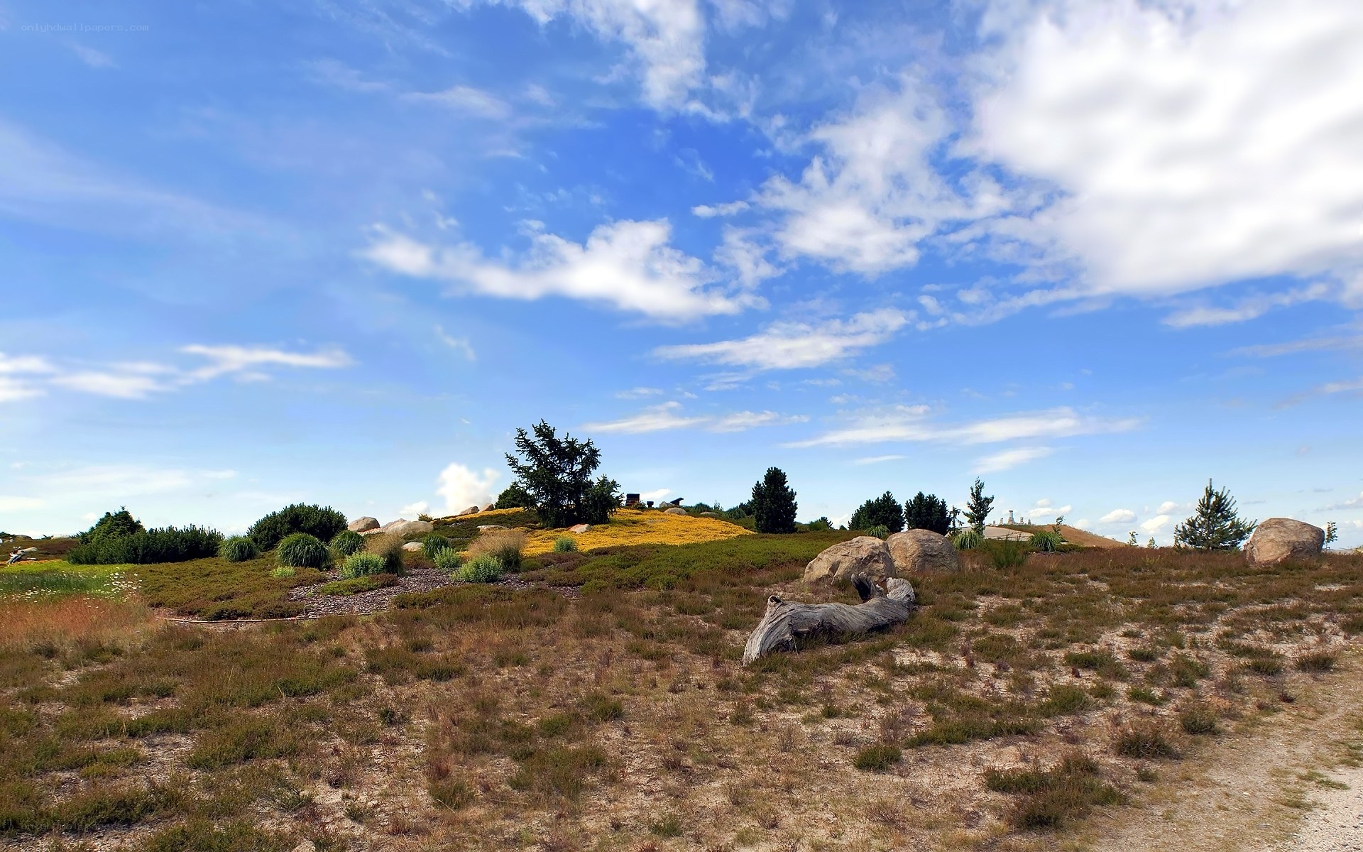Grassy hill under blue sky