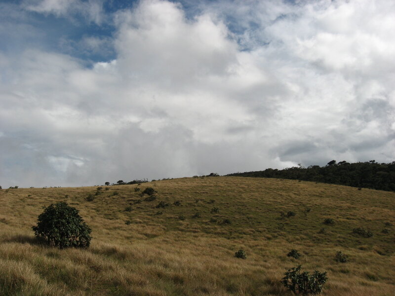 Grassy Hill under Cloudy Sky — Blue