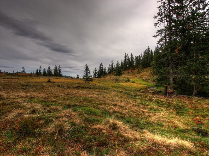 Grassy hill under cloudy sky