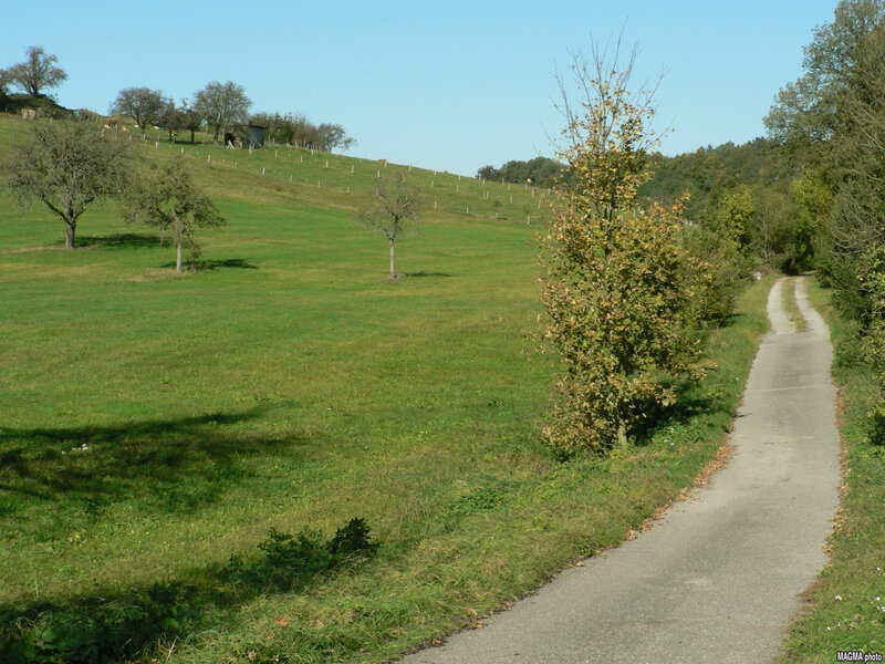 Grassy hill with a rural path