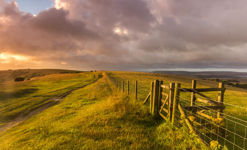 Grassy Hill with Fence — Green
