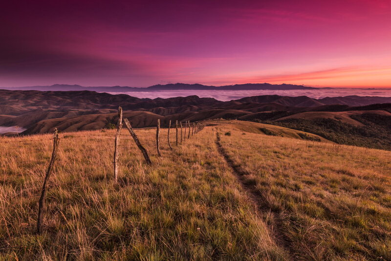 Grassy Hill with Fence — Purple