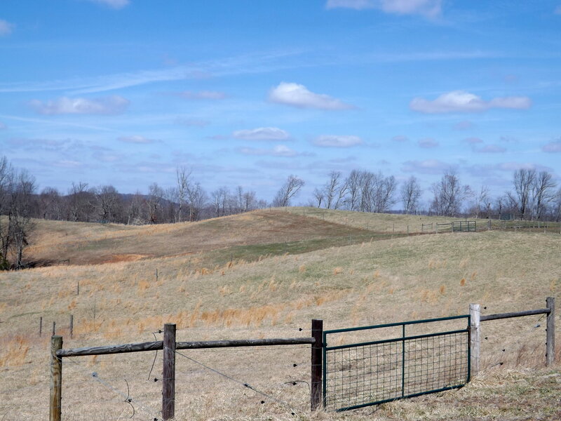 Grassy Hill with Fence
