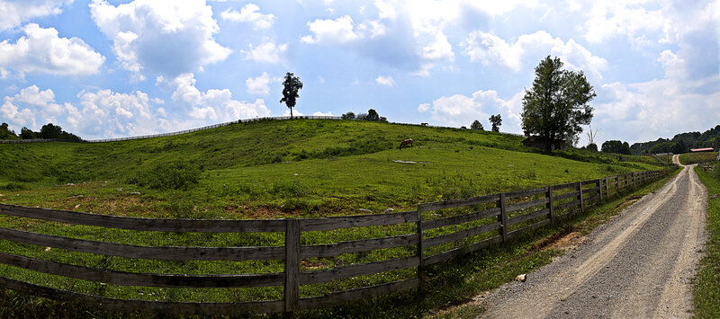 Grassy hill with horse and fence