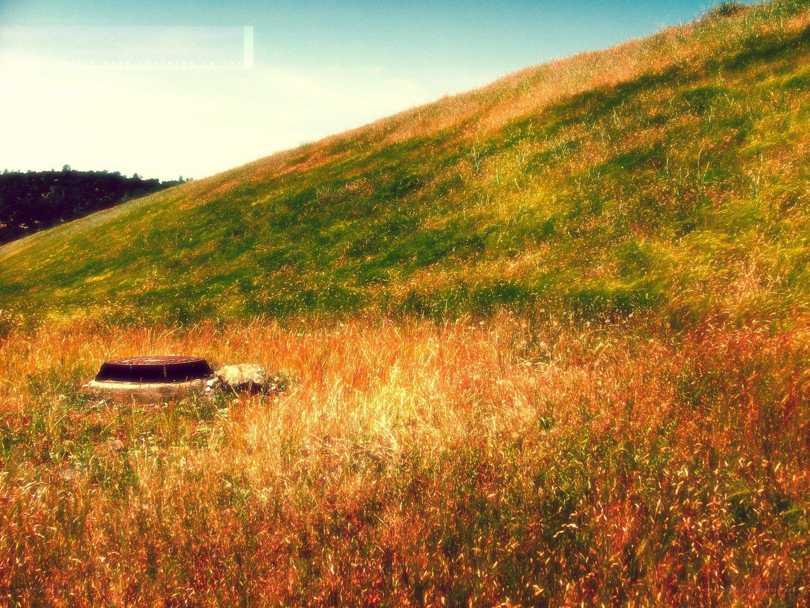 Grassy hill with manhole cover