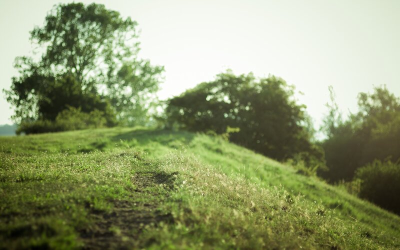 Grassy Hill with Path