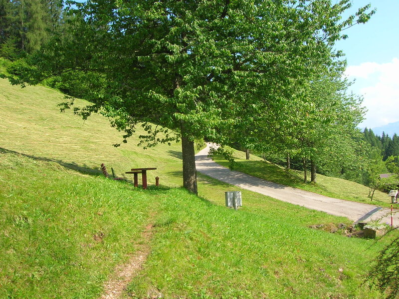 Grassy Hill with Picnic Table
