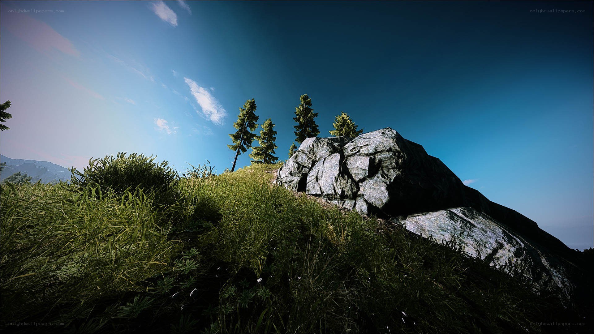 Grassy hill with rocks and trees
