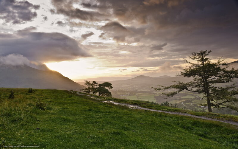 Grassy Hill with Trees — Green, Dramatic