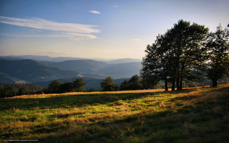 Grassy Hill with Trees — Green, Serene, Sunset