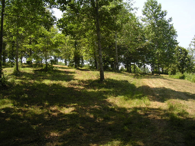 Grassy Hill with Trees — Green, Serene