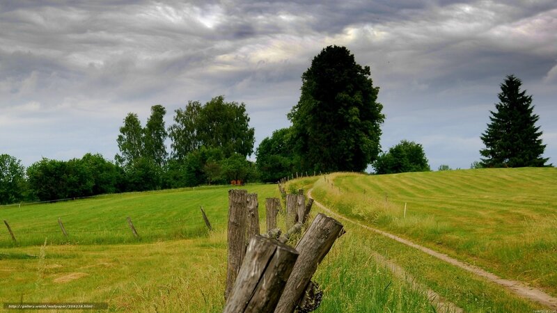 Grassy Hill with Wooden Fence — Green, Dramatic