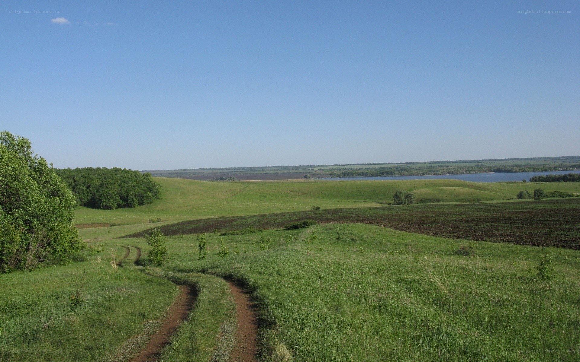 Grassy hills and river landscape