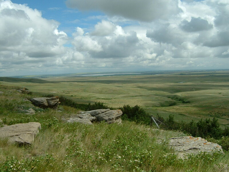 Grassy Hills and Rocks