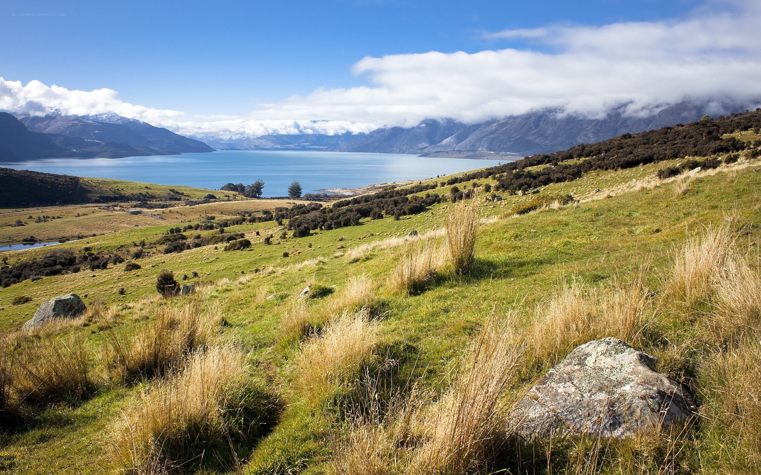 Grassy hills overlooking a lake