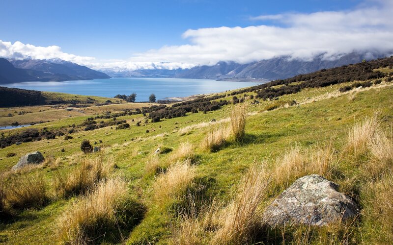 Grassy hills overlooking a lake