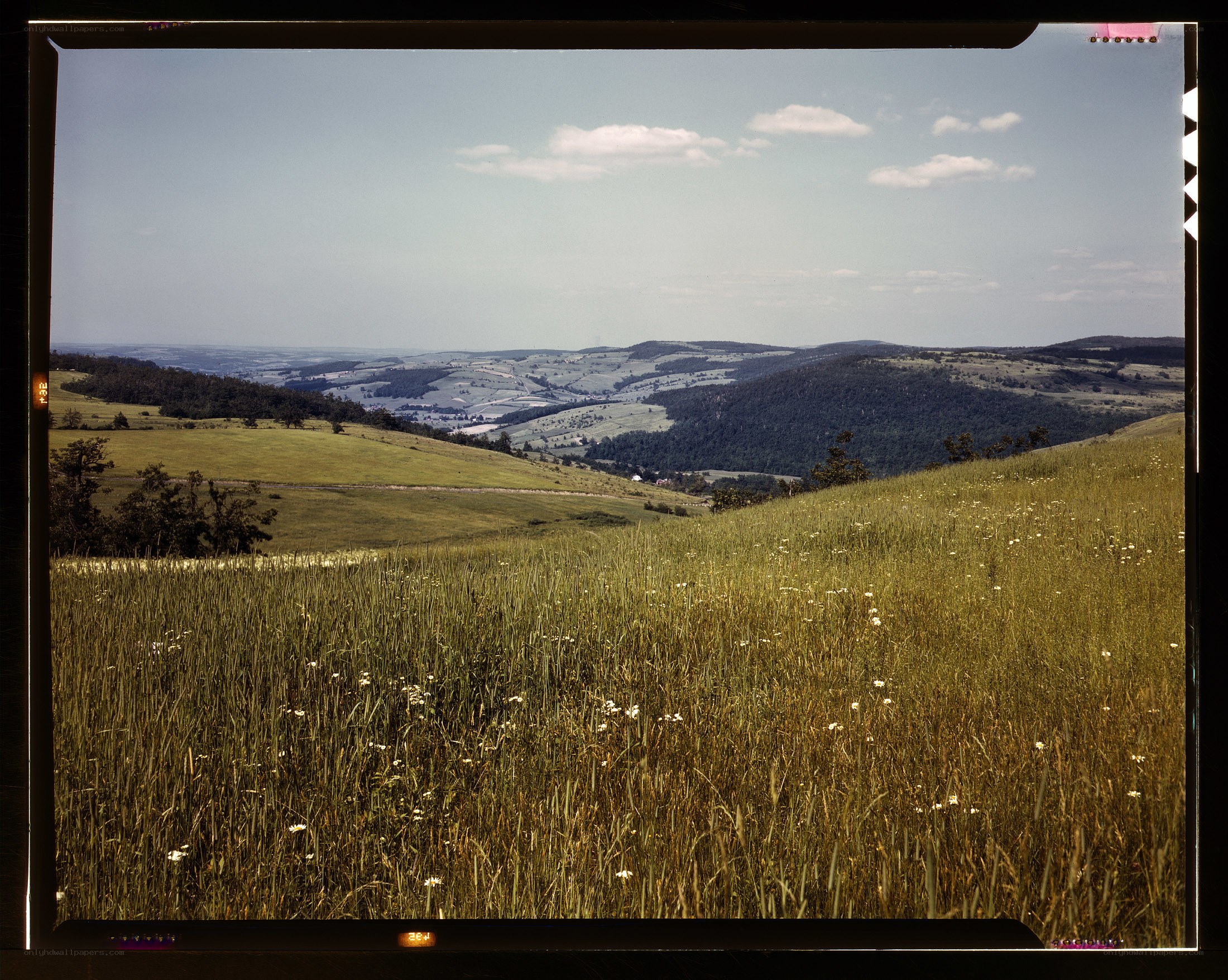 Grassy hills under a cloudy sky