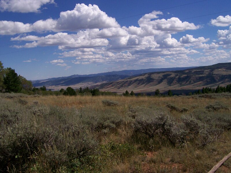 Grassy Hills under Clouds