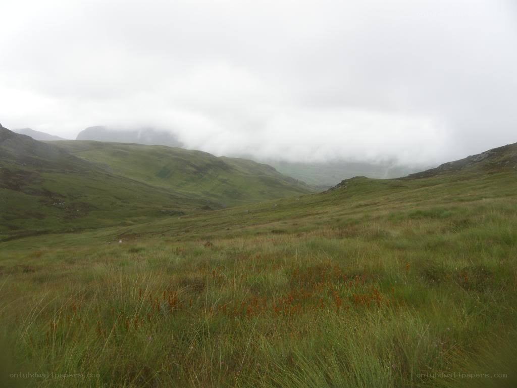 Grassy hills under cloudy sky