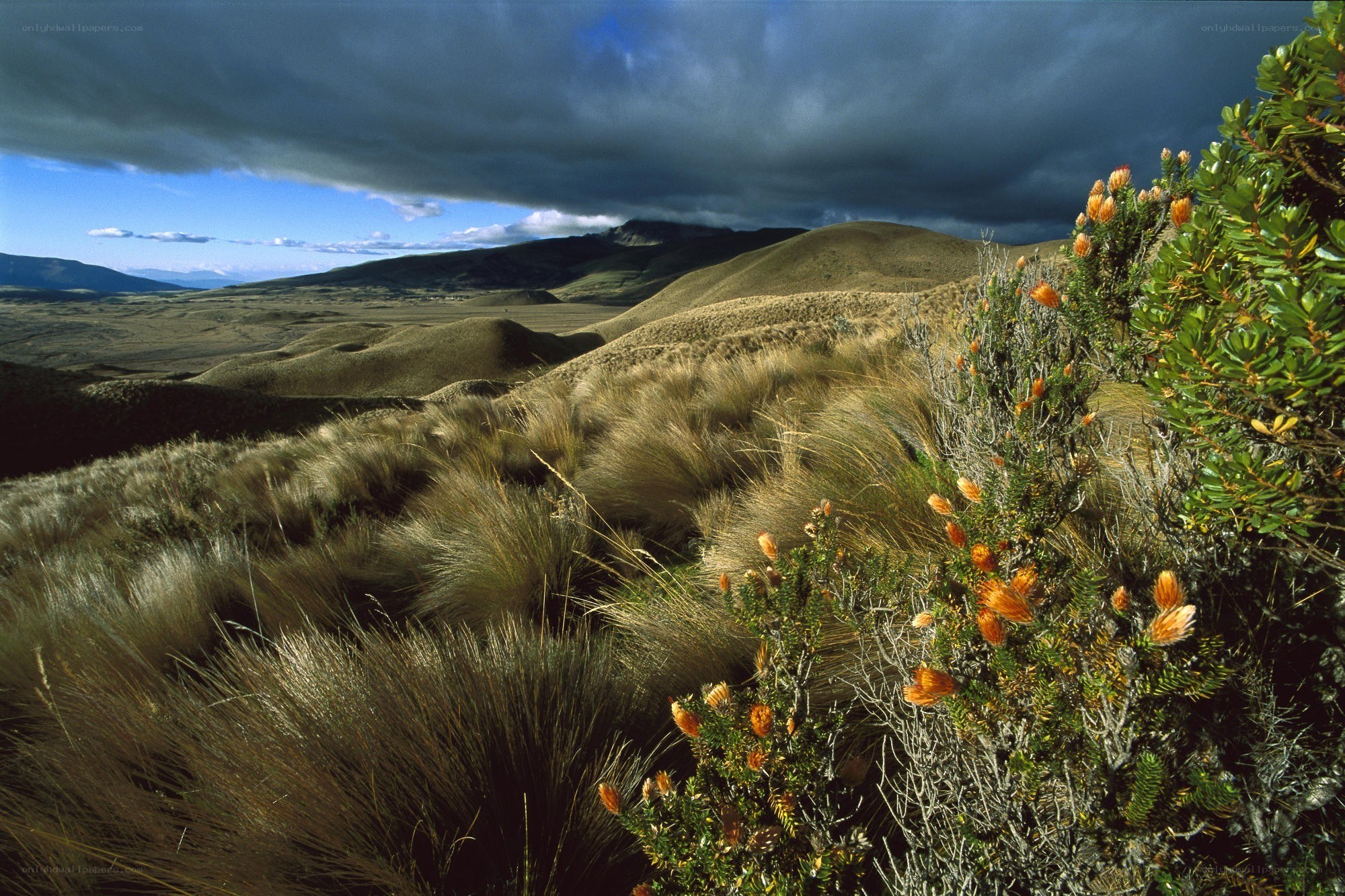 Grassy hills under stormy sky