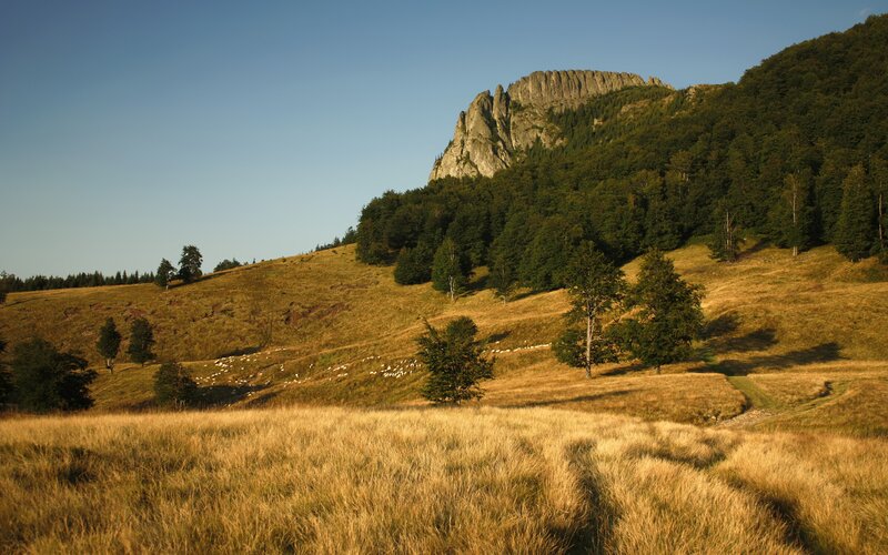 Grassy hills with rocky peak