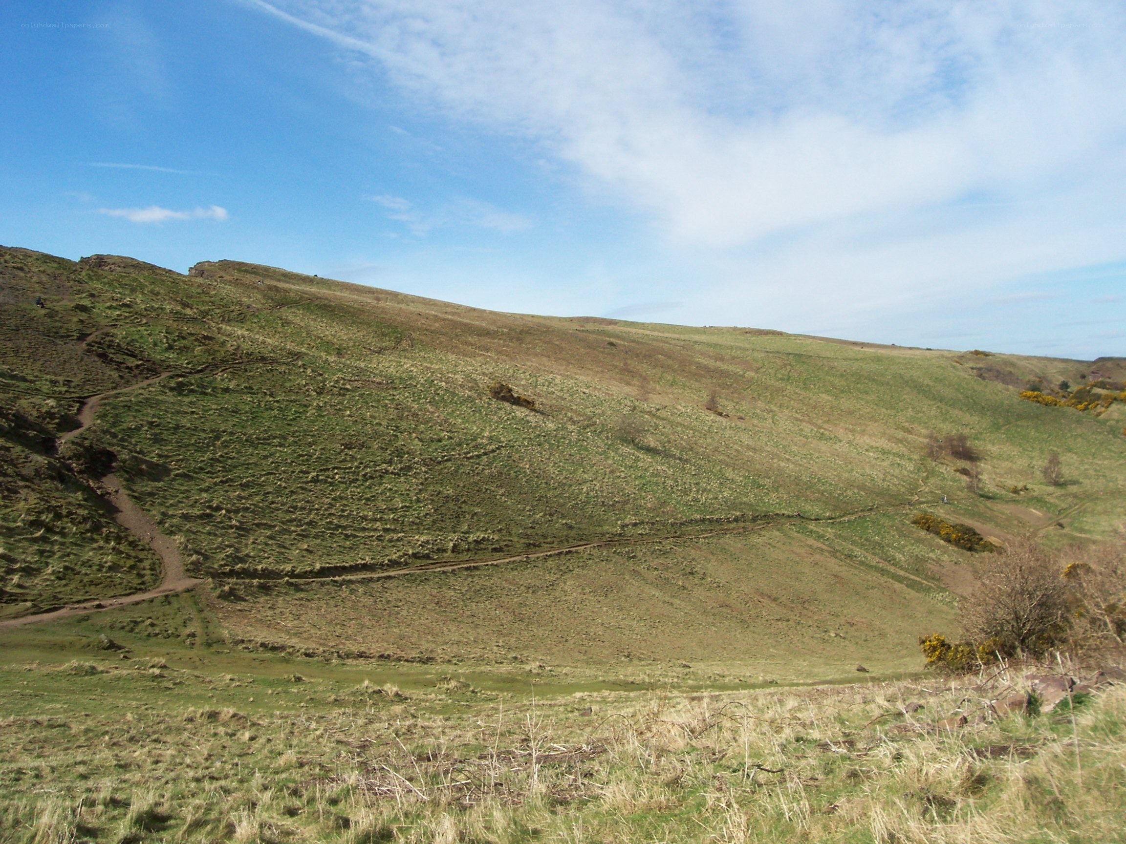 Grassy hillside under blue sky