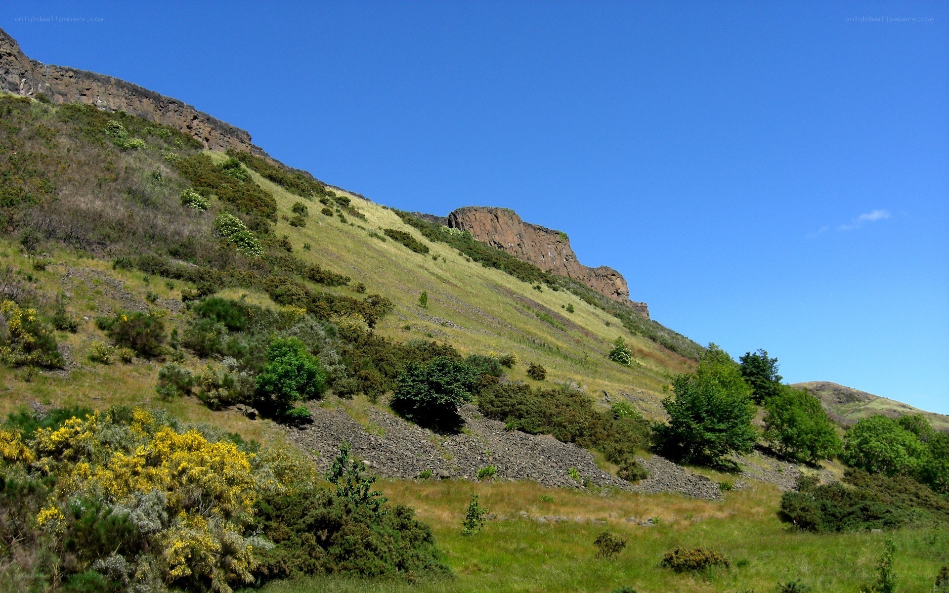 grassy hillside under blue sky