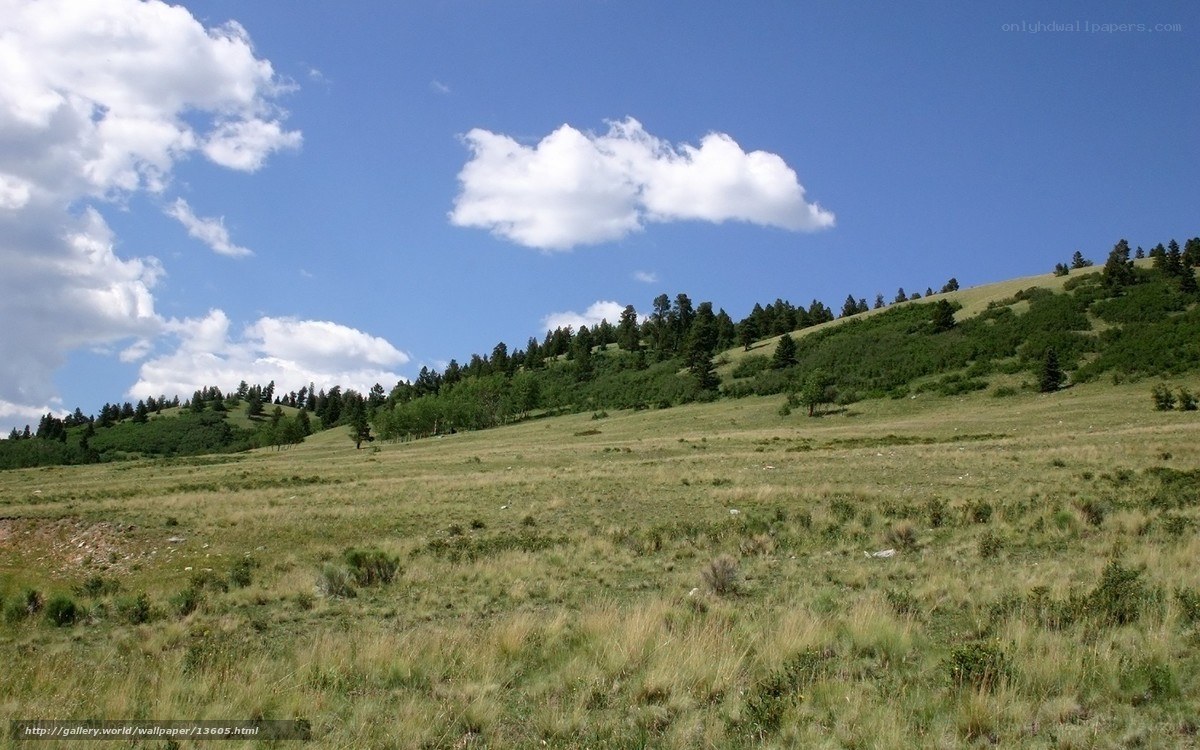 Grassy hillside under blue sky