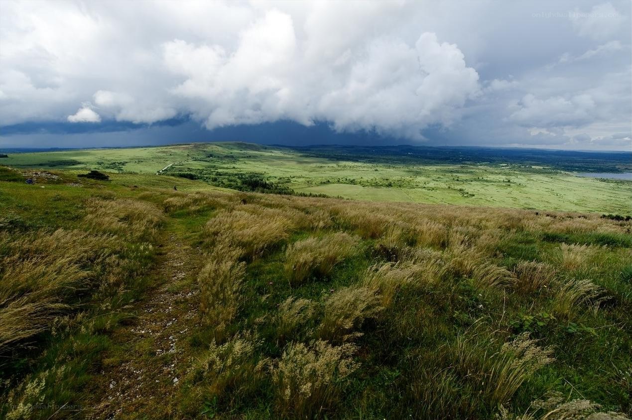 Grassy hillside under stormy sky