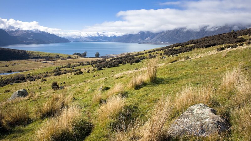 Grassy Hillside with Lake