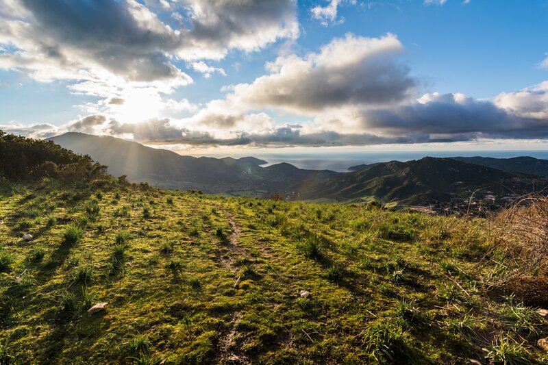 Grassy Hillside with Mountains — Green