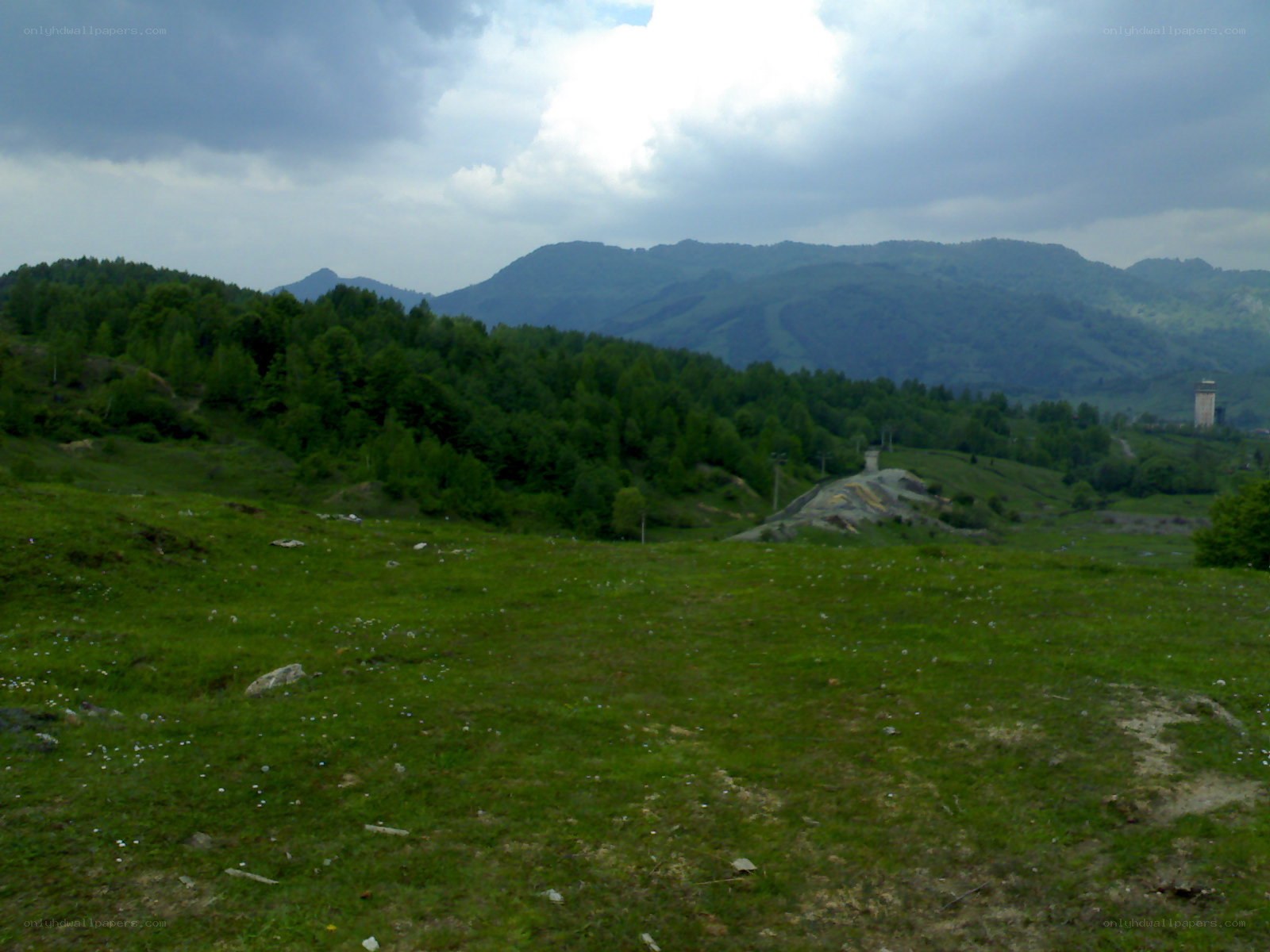 Grassy hillside with mountains