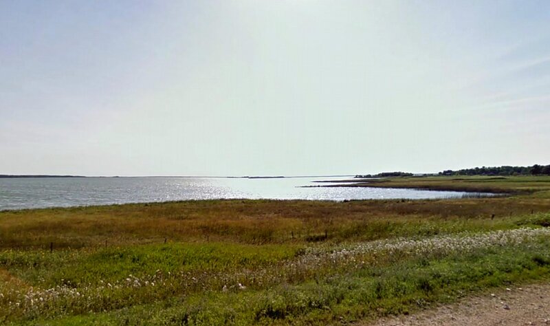 Grassy Marsh by Water