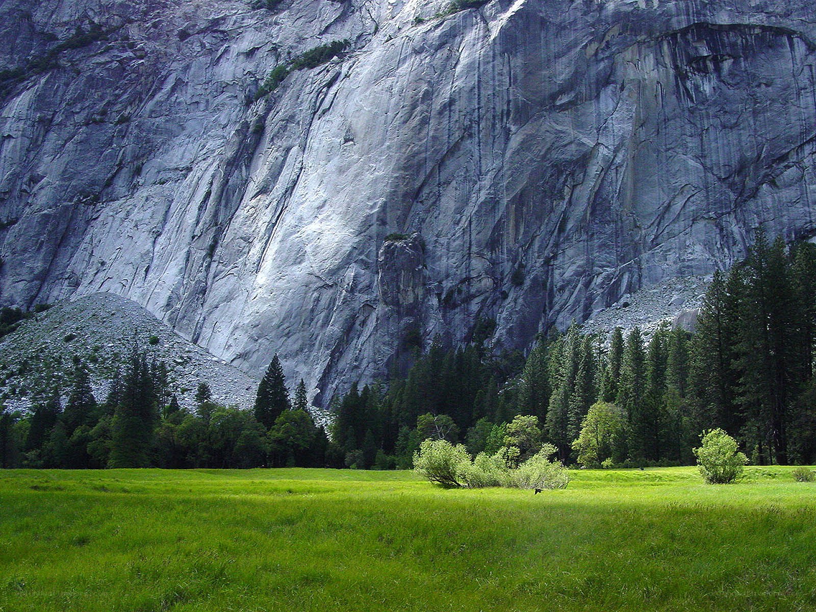 Grassy meadow with granite cliff